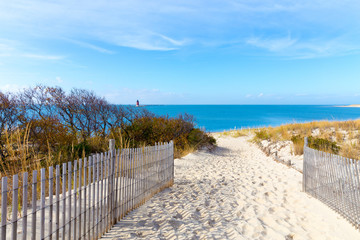 Sandy Path to the Beach Cape Henlopen, Sussex County, Lewes, Southern Delaware, USA - obrazy, fototapety, plakaty
