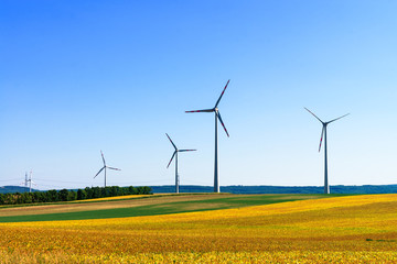 White wind power plants in a field at summer sunset light