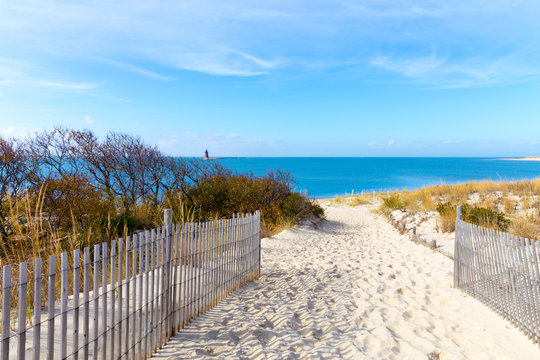 Fototapeta Sandy Path to the Beach Cape Henlopen, Sussex County, Lewes, Southern Delaware, USA