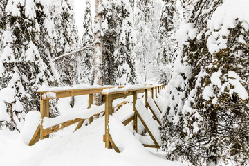 a wooden bridge in the Korouoma Nature Reserve, Finland. South Lapland, municipality of Posio.