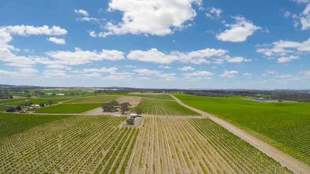 Drone aerial of the Barossa Valley, major wine growing region of South Australia, views of rows of grapevines and scenic landscape.