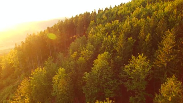 flight over forest, Aerial View of Czech forest, sunset. 