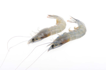 Fototapeta premium Fresh prawns isolated on a white background