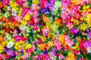 Foto auf Acrylglas Der kleine bunte Stoffblumenhintergrund oder -hintergrund für die Dekoration, um Platz romantisch zu machen. © guidenuk