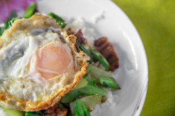 The fried crispy pork with fresh green kale and fried egg with oyster sauce and white rice in the white plate on the wooden table.