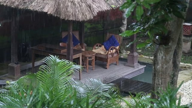 Tropical summer rain falling big rain drops falling down on arbor in garden. Island Bali, Ubud, Indonesia