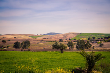 rolling fields in Spain