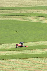 Fototapeta premium Farming