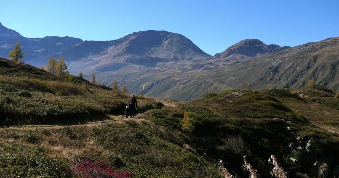 Woman and a kid hiking, Cinema 4k view of a mom and a boy walking in a fall color landscape, on the top of simplon pass, on a sunny autumn day, in Valais, Switzerland