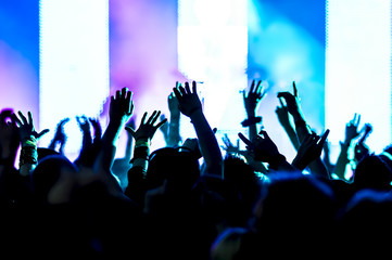 Concert Crowd at rock concert