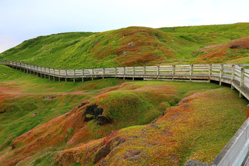 Boardwalk with beautiful surrounding in phillip island victoria, Australia. Australia Torism