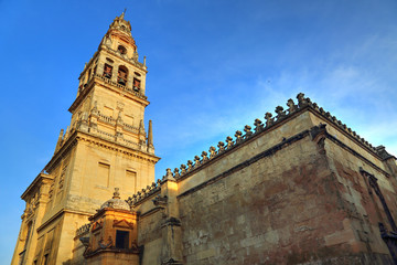Fototapeta na wymiar Mezquita Cathedral of Cordoba on a bright sunny day