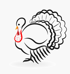 Turkey animal vector