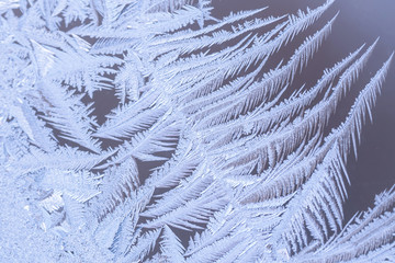 Macro images of frost pattern on window