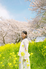 Fototapeta premium 女性 桜と菜の花