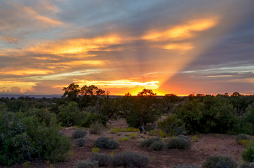 scenic view of the desert near Canyonlands National Park at sunset
Moab, Utah, USA