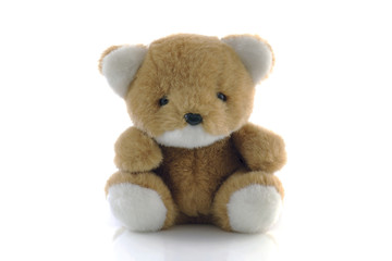 teddy bear isolated on white background