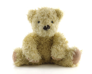 teddy bear isolated on white background