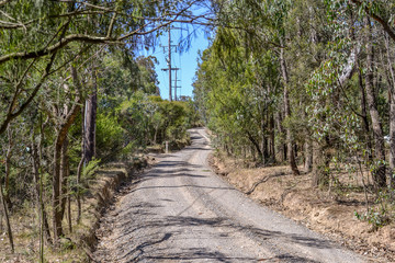 Fototapeta premium Dirt road in Australian Bush setting
