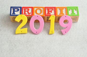 2019 Profit