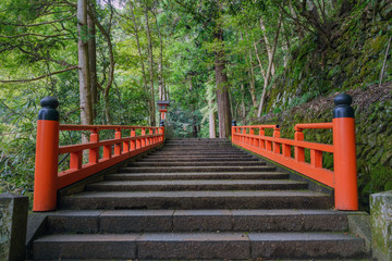 美しい参道風景