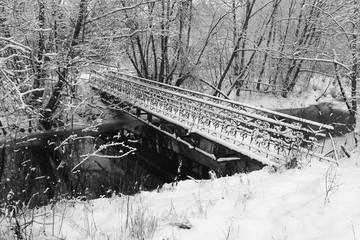 winter bridge in the forest