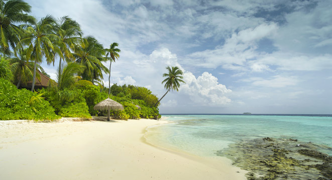 beautiful sand beach with palm trees and coral reef in sunshine day on Maldives island