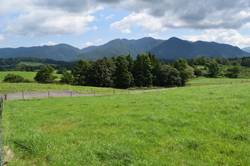 Obraz premium 月山高原牧場 ／ 山形県鶴岡市羽黒町にある月山高原牧場は、約100haの緑のジュウタンが広がり、雄大な高原の中で牛や羊を眺められます。高原からの眺めは最高で、ひそかな観光ポイントになっています。