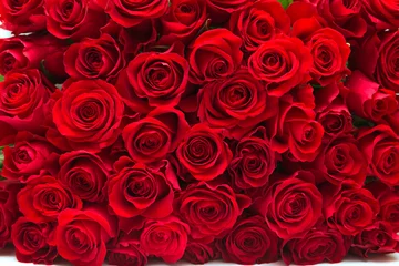 Crédence de cuisine en verre imprimé Roses roses rouges
