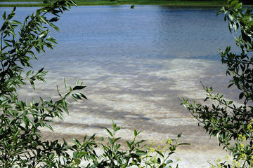 Naklejka premium brown brown dirty water sumps dirty water from factory waste