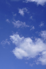 blue sky with many small fluffy cumulus clouds .