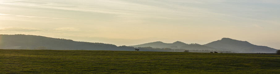 Cows in the background in the landscape and the setting sun.