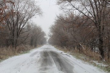 Obraz na płótnie Canvas winter countryside road