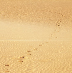 footsteps in the sand