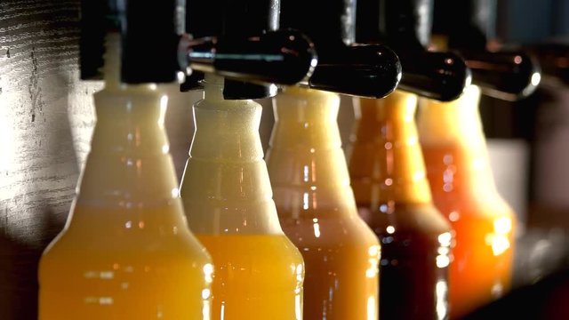 Row of bottles filling up with beer. Bartender pouring craft beer with foam head from tap into pint glass at restaurant bar.