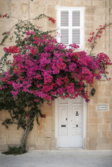 door architecture detail in mdina old town of rabat malta