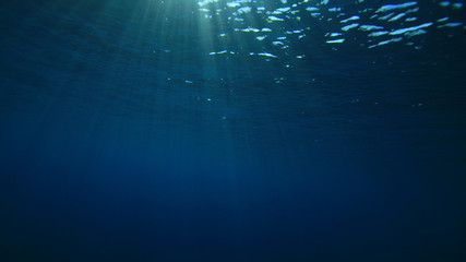 Underwater ocean background