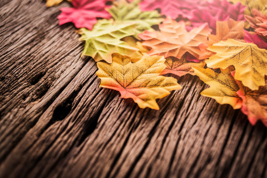 autumn leaf on old white vintage wooden texture floor with free copy space for your ideas texts