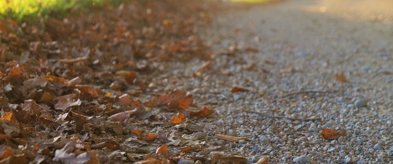 Herbst