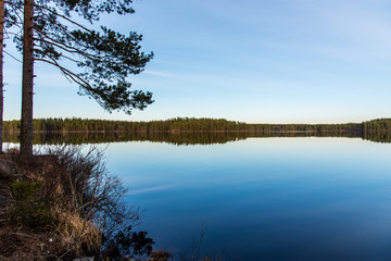overlooking a calm lake in the area of tiveden