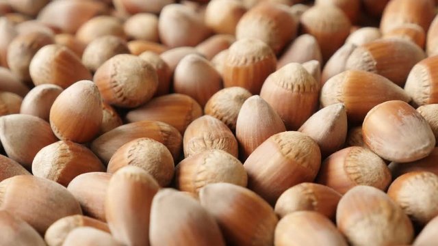 Tilting over organic hazelnuts on the table close-up footage - Heap of Corylus avellana slow tilt