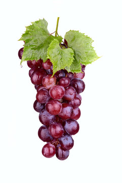 Red grape with leaf isolated on white background. Ripe and sweet.With water drops