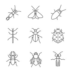 Insects linear icons set
