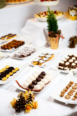 Kompozycja na stole z kolorowymi ciasteczkami i różnymi słodyczami przygotowanymi dla gości