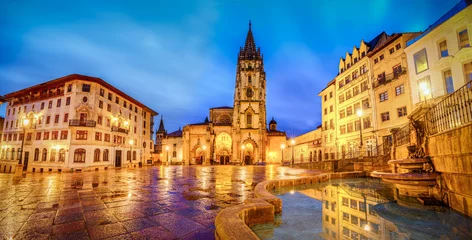 Foto op Canvas The Cathedral of Oviedo © LucVi