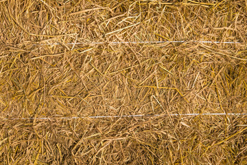 Straw background texture, Dry straw for design Background