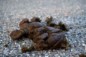 Mist als Naturdünger