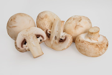 Champignon mushroom isolated on white background