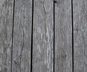 Old, gray wood texture