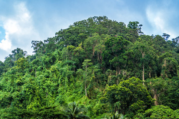 Fototapeta na wymiar Mountain with jungle trees aerial picture at sunset, Philippines